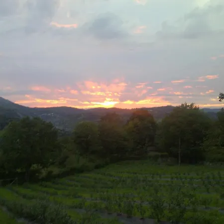 Madre Pepa Carrena de Cabrales